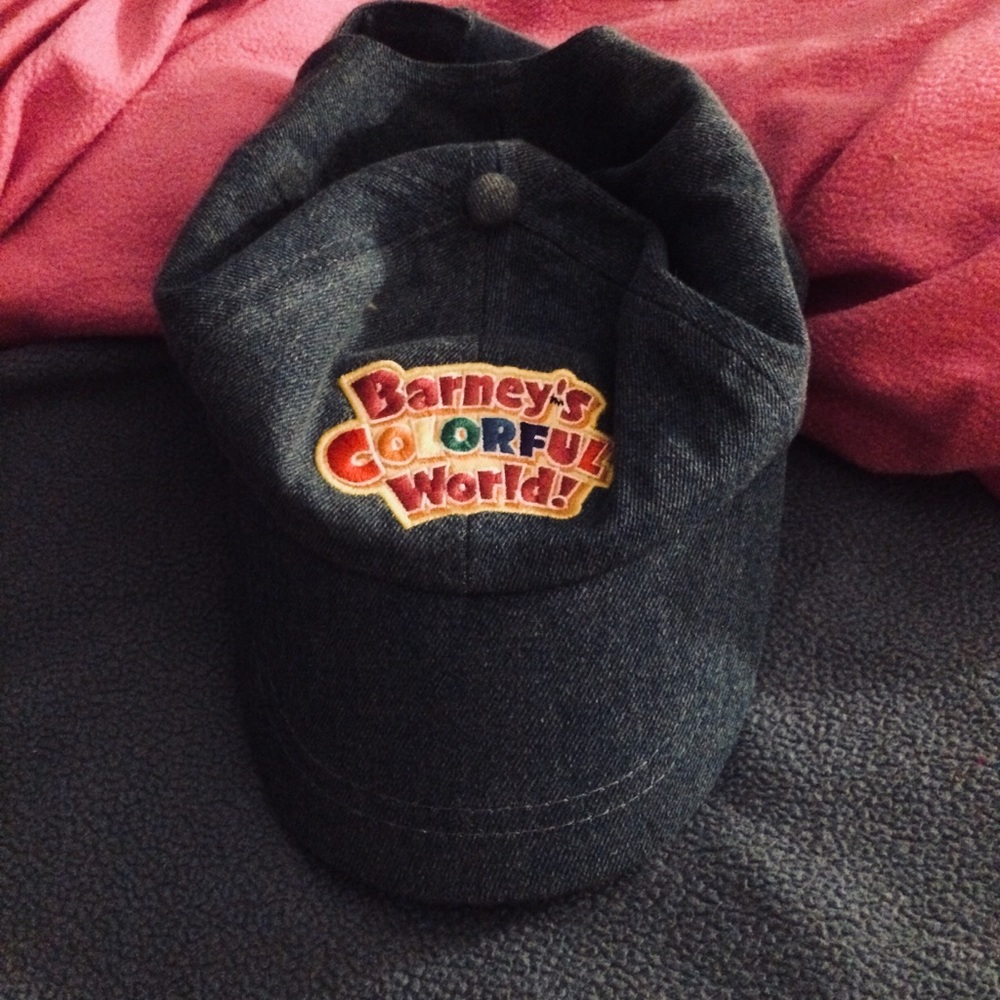 Barney hat
